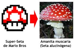 super_mario_mushroom.jpg