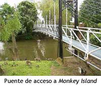 Monkey Island Thames - Puente