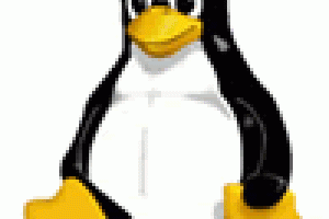 IBM se pasa a Linux