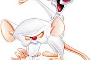 Pinky y Cerebro