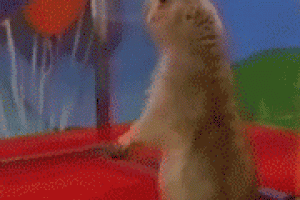 Dramatic Chipmunk: La ardilla dramática