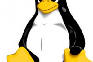 Como atraer a un usuario normal hacia Linux