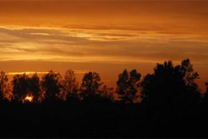 Tercera temporada de ion litio