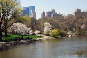 La ventana del hospital