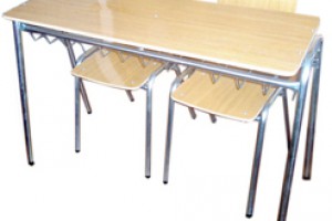 Mi compañero de pupitre