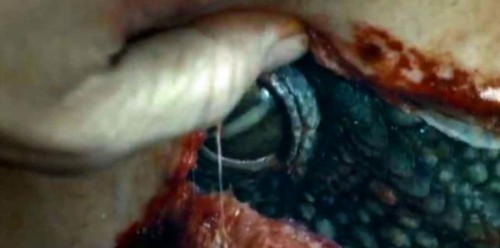 V (2009), el piloto - Revelación