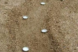 Las carreras ciclistas con chapas