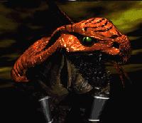Killer Instinct - Riptor