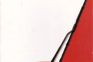 ‘Quarantine’, el videojuego