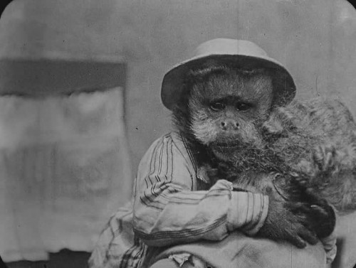 Go West - Despedida 2