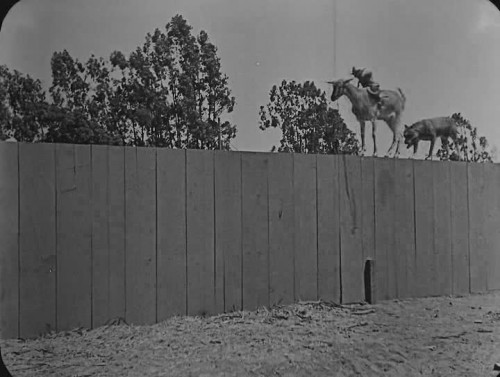 Go West - Persecución